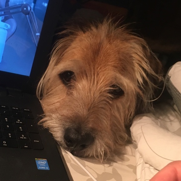 Meet your Posher, Alexandra - Picture 1 of 1